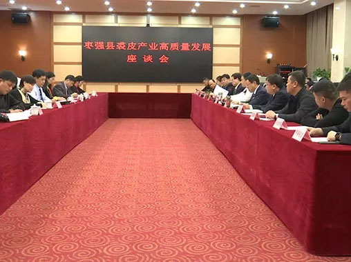 xc sports(中国区)-官方网站